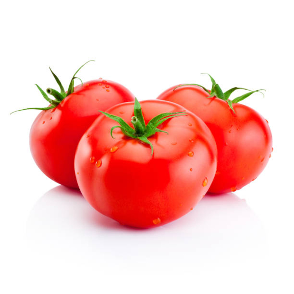 Top Quality Fresh Red Tomatoes for sale.