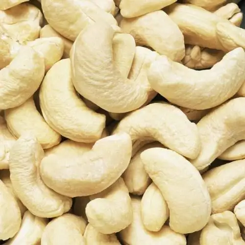 Cashew Nuts, Roasted Cashews, Raw Cashew