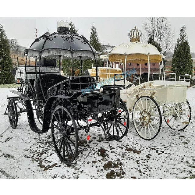 Великолепная лошадь, тыквенная каретка, роскошная каретка с рисунком лошади, Новый Орлеан, каретка Золушки, лошадь с рисунком