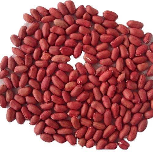 Best Quality Peanut in Shell New Crop Groundnut in Shell