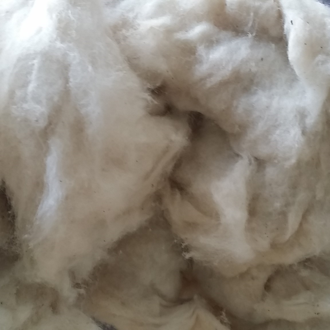 Cotton Linter 1st Cut