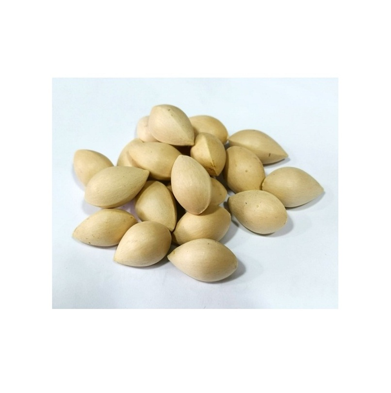 High Quality Dried Ginkgo Nuts at Best Price Freshly Harvested and Nutritious for Snacks or Health Supplements