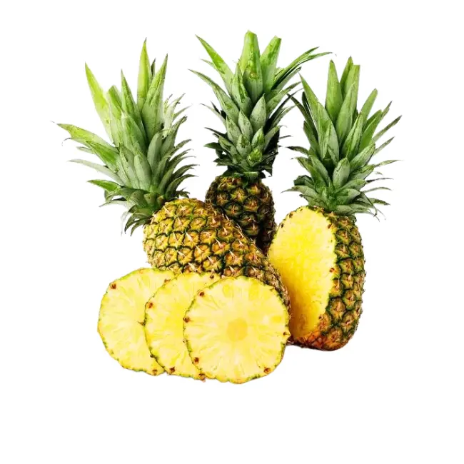 Organic Tropical Pineapple Fruit New Crop Wholesale Vietnamese Pineapple Quality Competitive Price