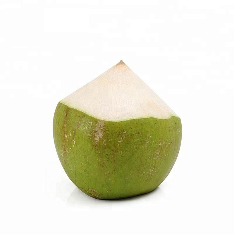 Supplier Tropical fruit/ Green Husked Coconut/ Fresh Tender Coconut  from Vietnam (Whatsapp 0084867191319)