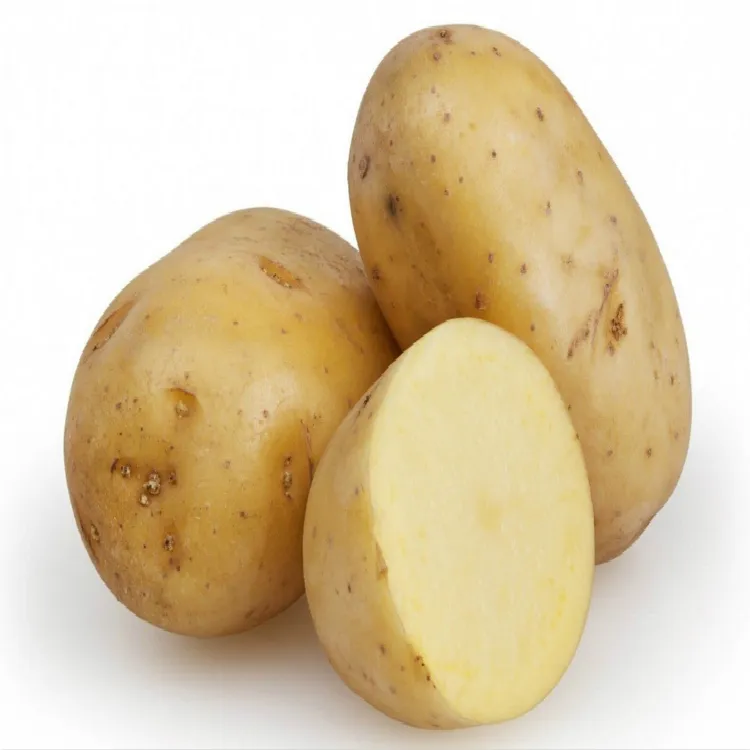 Hot Selling New Potatoes Sliced Diced Frozen Fresh Holland Potato