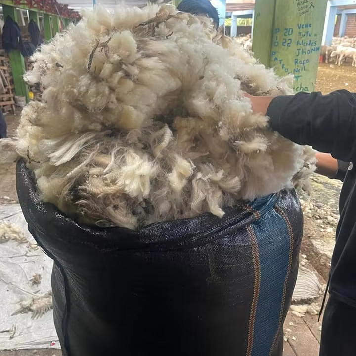 Raw Merino Sheep Wool for Sale 100% Wool Material
