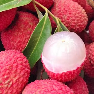 Fresh Lychees in Large Quantities from Vietnam Premium Quality Fresh Berries