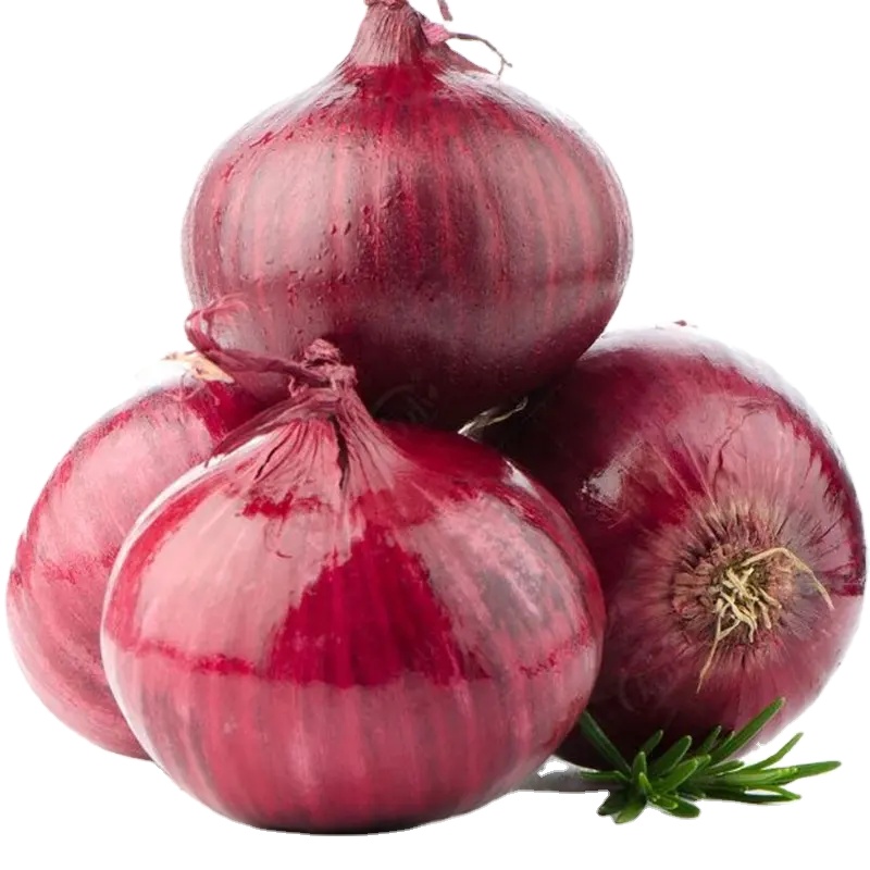 wholesale onions by onion suppliers on red onion 1 ton price for sale