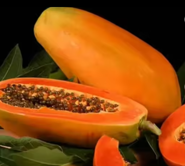 Fresh Fruit Yellow Papaya Fresh green papaya/ Red papaya available with big quantity