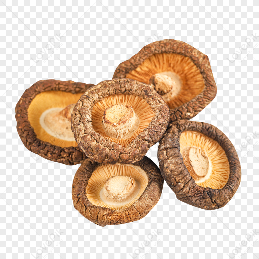 Selling Natural and Dehydrated Shiitake Mushrooms at a Low Price