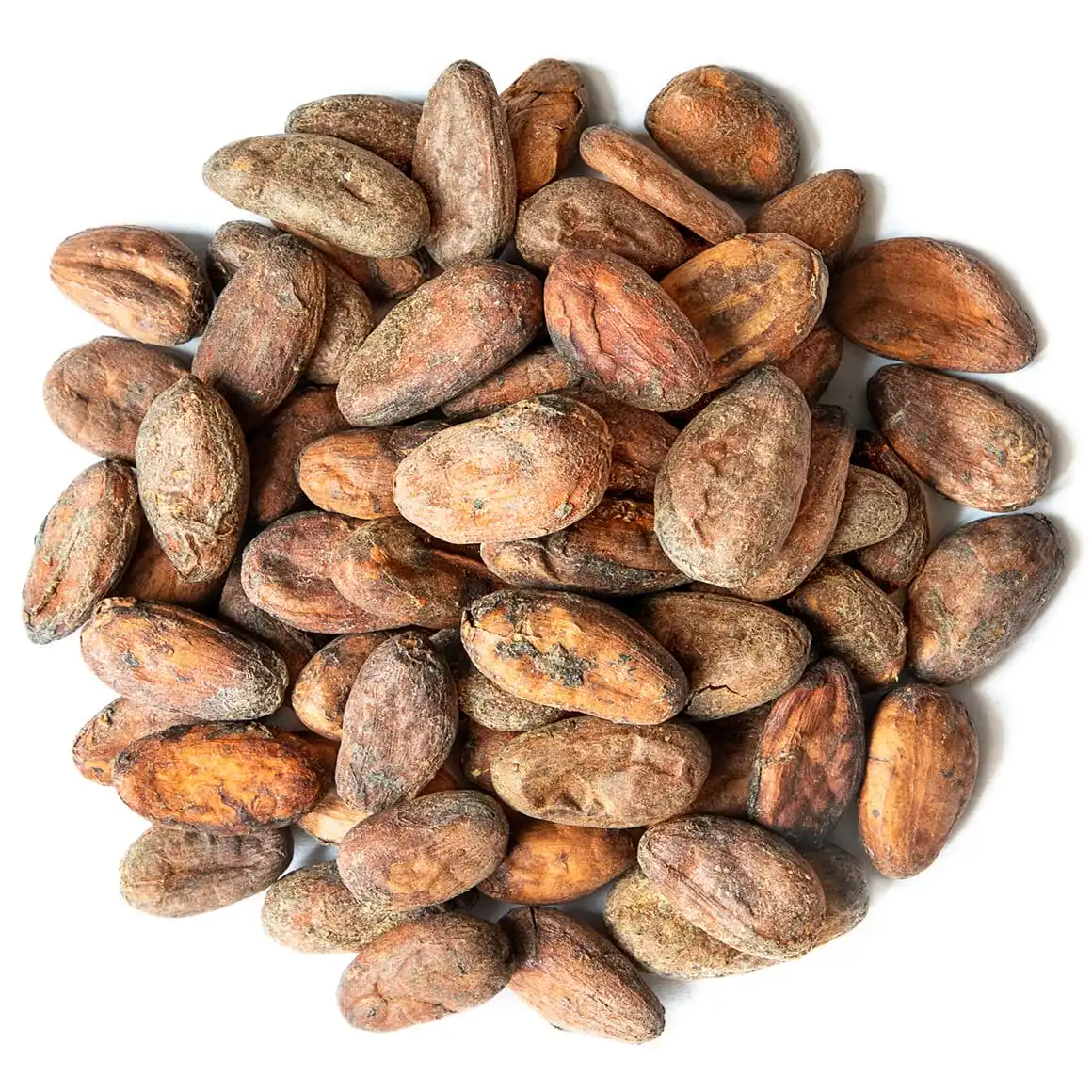 Wholesale Cocoa Beans Ariba Cacao beans Dried Raw Cacao Fermented Cocoa Beans Cheap Price