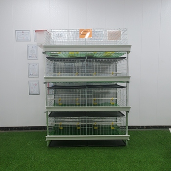 Favorable Price H Type Broiler Chicken Cage with 60/80 birds capacity Breeding Cages for farm