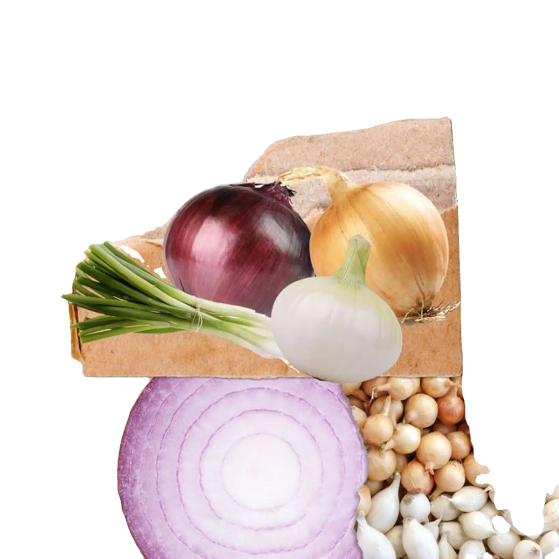 Indian Big size of Onion export in Pouch packing