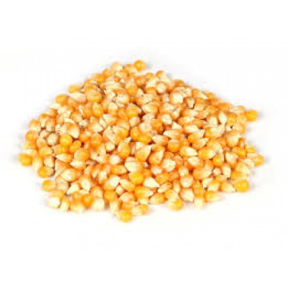 Bulk IQF Frozen Sweet Corn Yellow Corn Kernels/ Natural Thailand Yellow Dried Maize/Corn