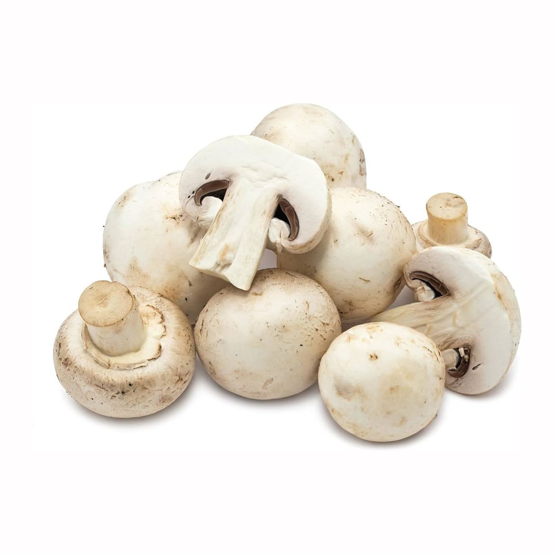 100% organic white mushroom wholesale price