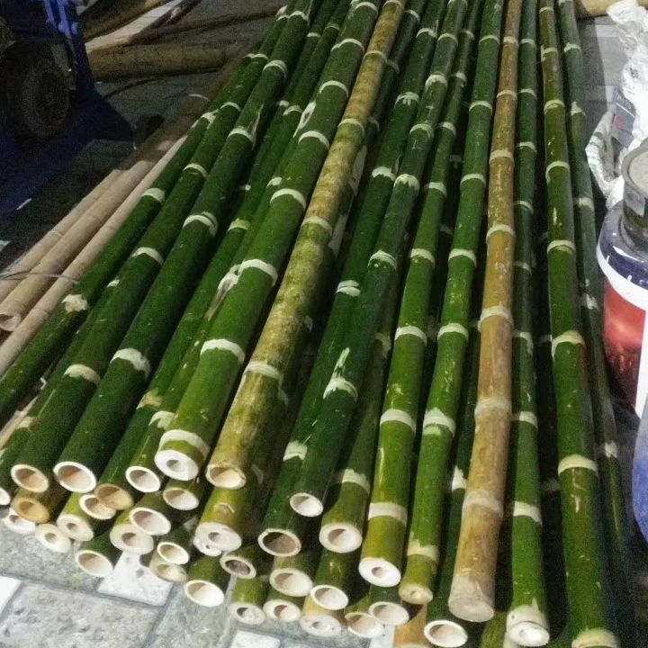BAMBOO MULTI SIZES Wholesale eco-friendly dried raw bamboo for outdoor natural landscape architecture from Vietnam