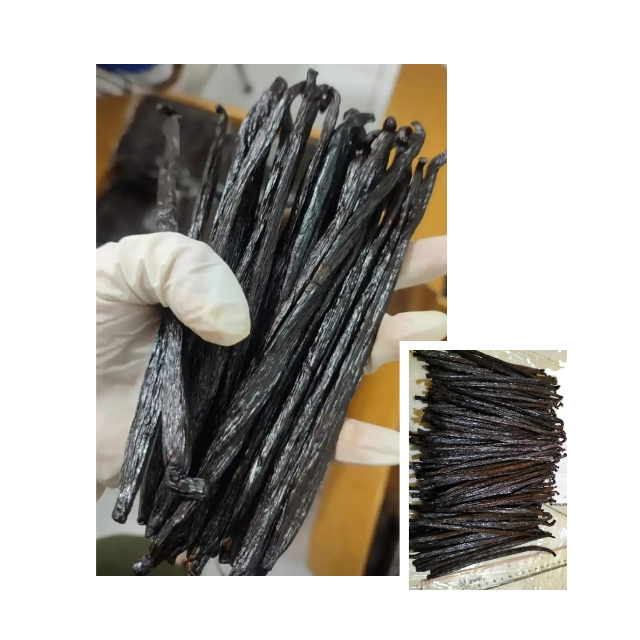 Tahitian Vanilla Beans Top Quality Fresh Vanilla pods Original Papua Vanilla 100% Organic Factory Wholesale