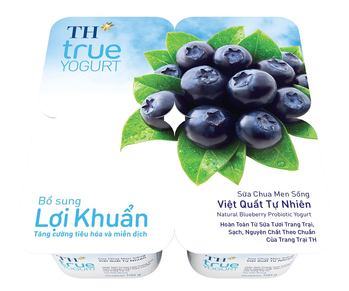 TH true YOGURT- Probiotic Yogurt - Natural Blueberry 100gx48C High Quality Dairy Products Nutrition Fruity Yogurt