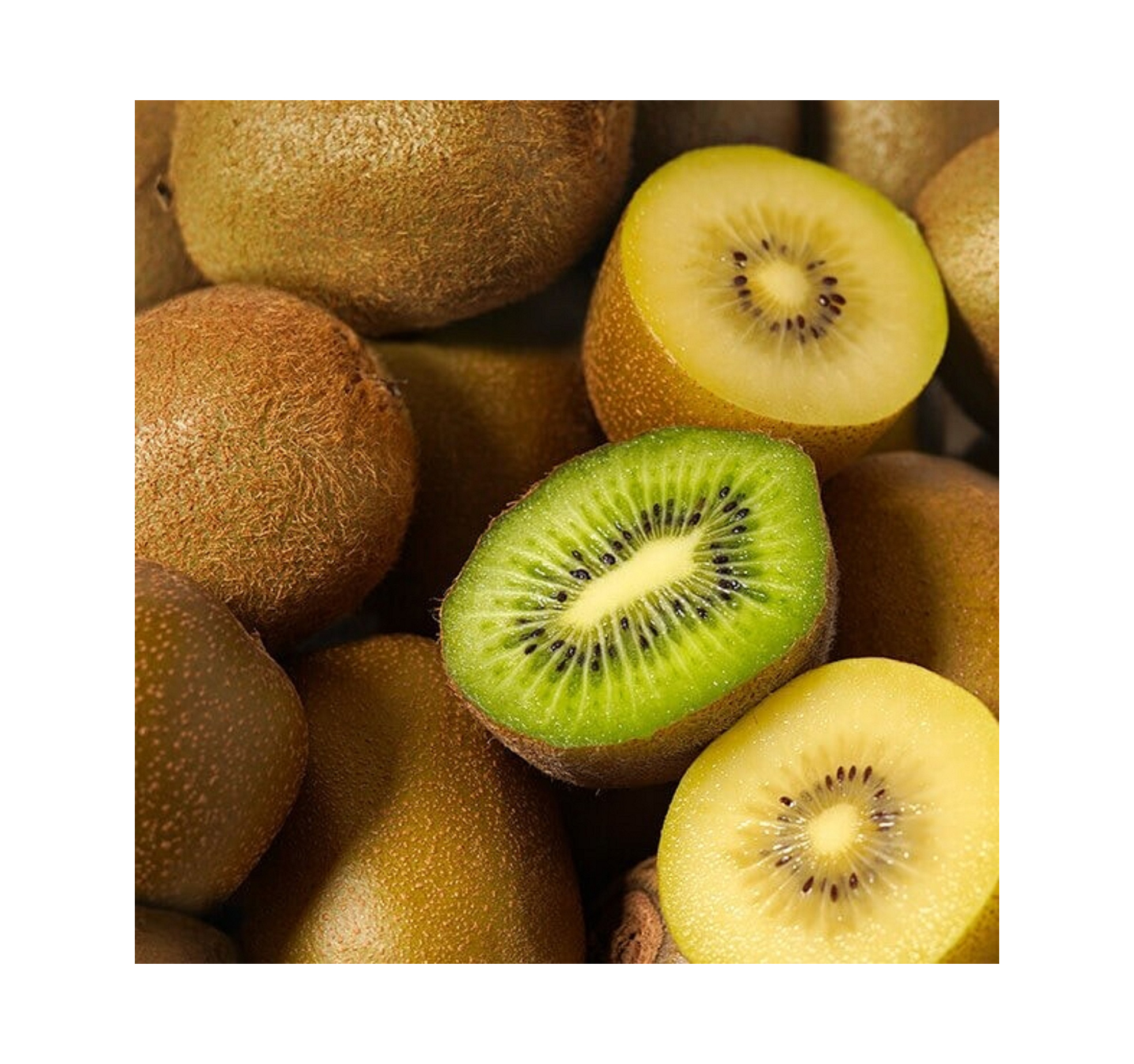 high quality fresh golden kiwi gold kiwi fruit kiwi