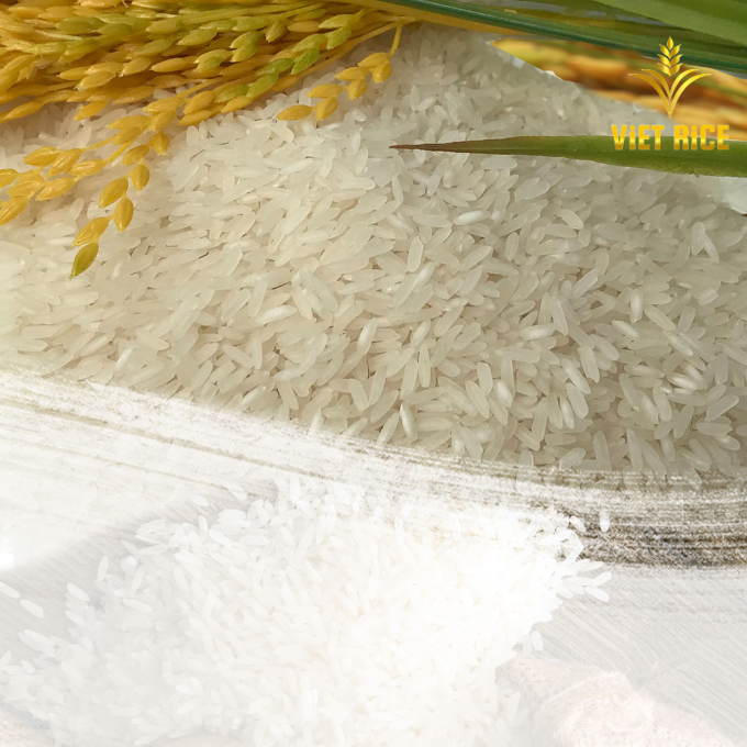 Флэш-распродажа в JUNE! Жасминовый рис 5% сломанный ароматный рис, квалифицированный для экспорта оптом от престижного экспортера риса