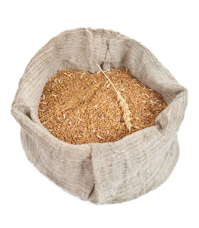 Wheat Grain in bulk / high quality wheat