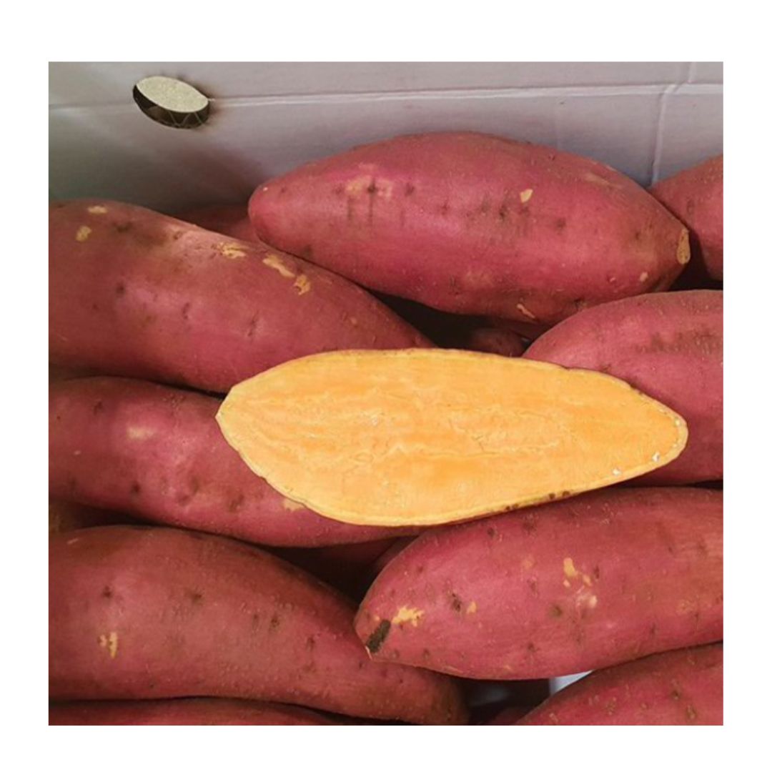 High Quality Fresh Sweet Potato New Crop Honey Sweet Potato Fresh Vegetables And Fruits Available At Wholesale Price