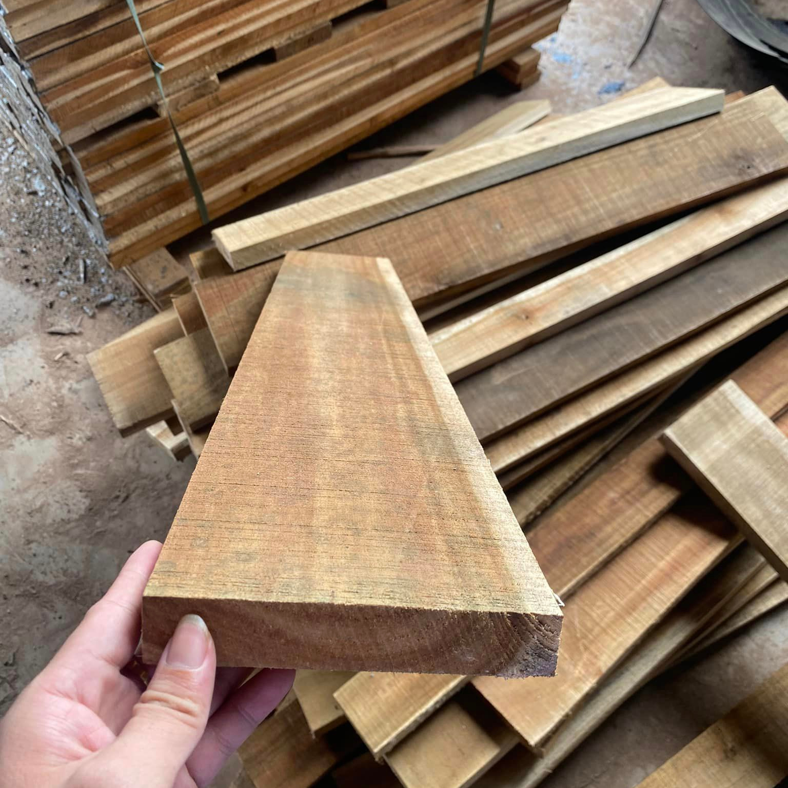 Acacia sawn timber wooden for wood industrial bestvprice from Vietnam factory 2023 Safimex company