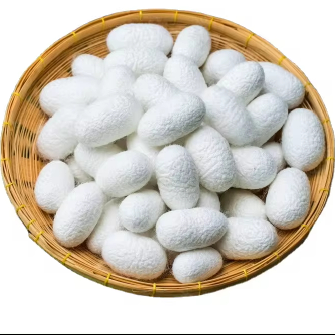 Wholesale Vietnam factory silk fiber silkworm 100% Natural silkworm cocoon for beauty-Quality silk fiber