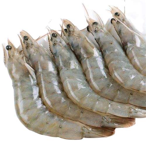 Замороженные креветки оптом вкусные и полезные морепродукты хорошая цена Заводские сырые креветки