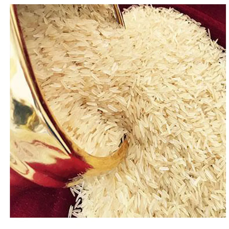Super premium Basmati grade short grain block chain rice white pearl rice FOB Reference Get Latest Price