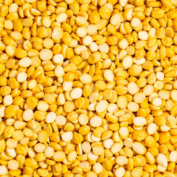 Лидер продаж, бобы чечевицы по низкой цене, поставщик чечевицы daal channa из Пакистана