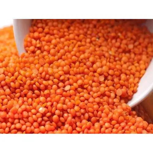 Buy Top Quality Red Lentil at Cheap Price