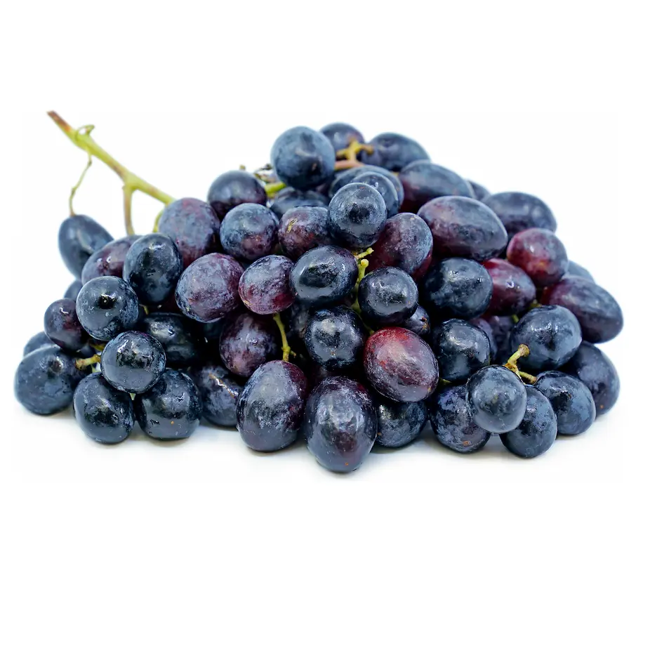 Top selling wholesale fresh black seedless grapes sweet grapes