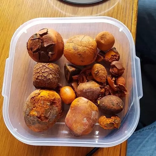 Качественные высушенные желчные камни для бычьей коровы