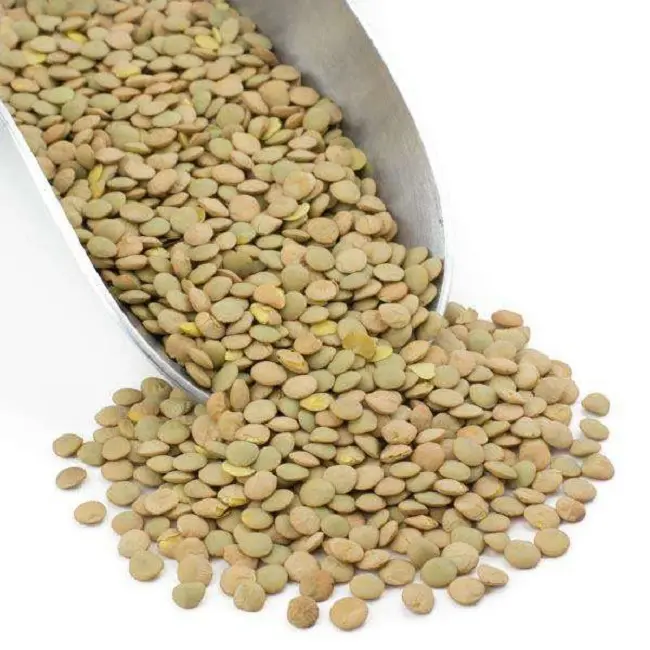 Wholesale Price Good Quality Green Lentils Available For Sale In Bulk Quantity