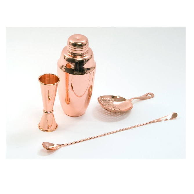 Cocktail Shaker Set Bartender Kit 4-Piece Bar Kit with Shaker Mixing Spoon Liquor Pourers Strainer Professional Bar Mixology Set