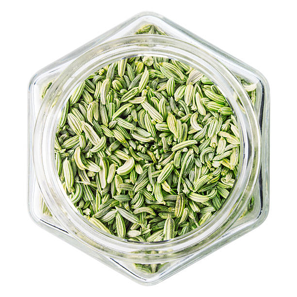 Single Spices Indian origin Natural High Quality fennel seed