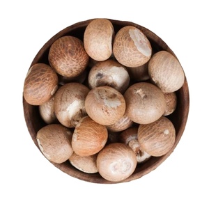 Areca Whole Betel Nut Young Betel Nuts For Candy Areca Catechu Whole Dried Young Betel Nut From USA