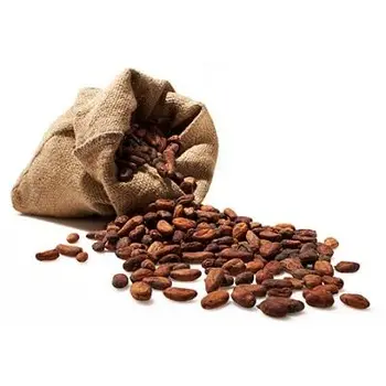 ORGANIC CACAO NIBS INDONESIA Mature Chocolates Weight Origin Type Variety Size Grade Place Model Maturity Roasted