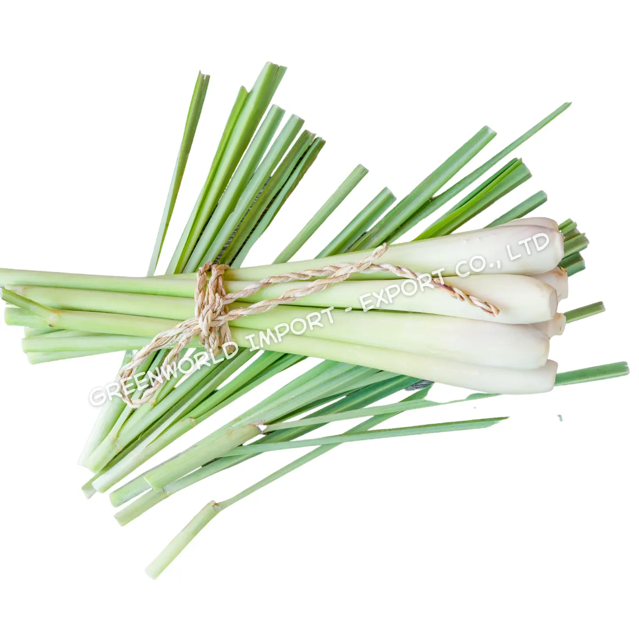 FROZEN LEMON GRASS FROM VIETNAM - CITRONELLA WITH HIGH QUALITY - IQF LEMONGRASS SPICES FOR FOOD, HERB AND TEA