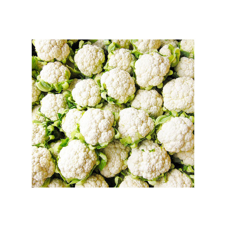 Свежая цветная капуста, свежие продукты, низкая цена, Органическое выращивание, сельскохозяйственные продукты, свежая цветная капуста/свежая цветная капуста оптом