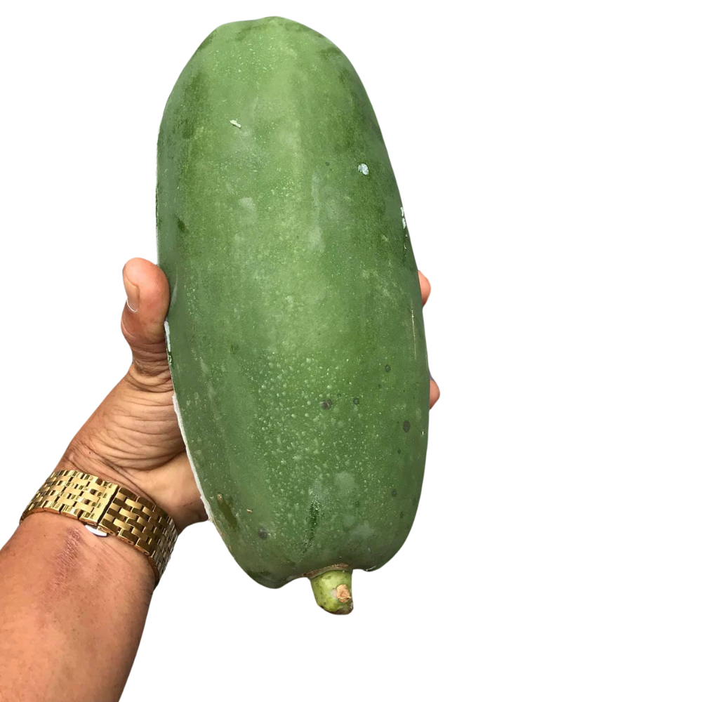 High Quality Fresh Papaya from Vietnam Comon Delicious Variety at Competitive Wholesale Price for Export