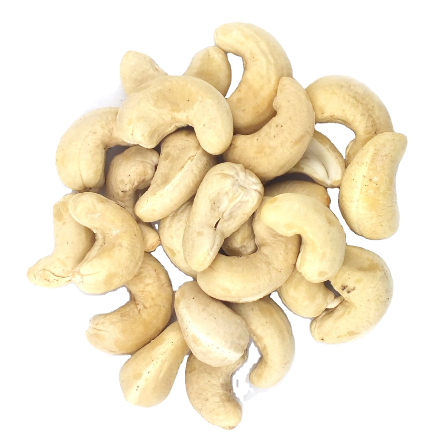 HOT SELLING - BIG CASHEW NUTS & KERNEL CHEAP PRICE BUT GREAT QUALITY WW240 WW320 W450 LP WS SP