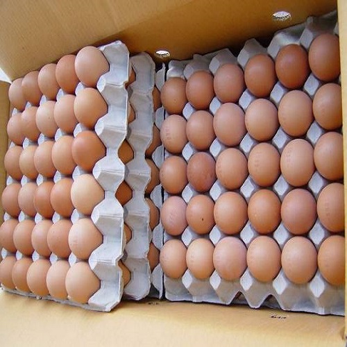 100% чистые настольные яйца, коричневые и белые, оптовая продажа