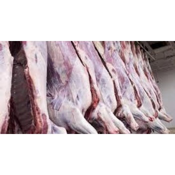 Premium donkey meat for sale canada