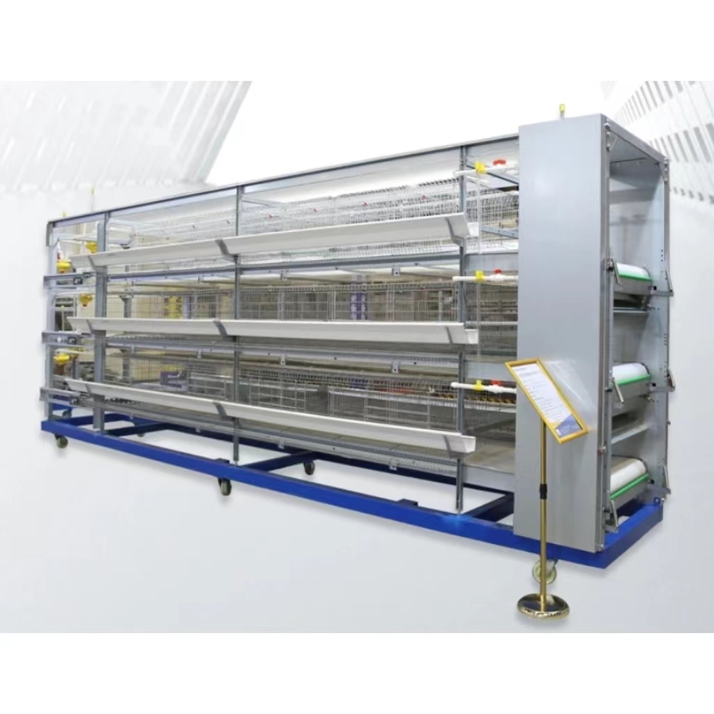 Automatic Chicken Layer Cage Modern Design H Type Automatic Egg Poultry Farms Battery Layer Chicken Cages