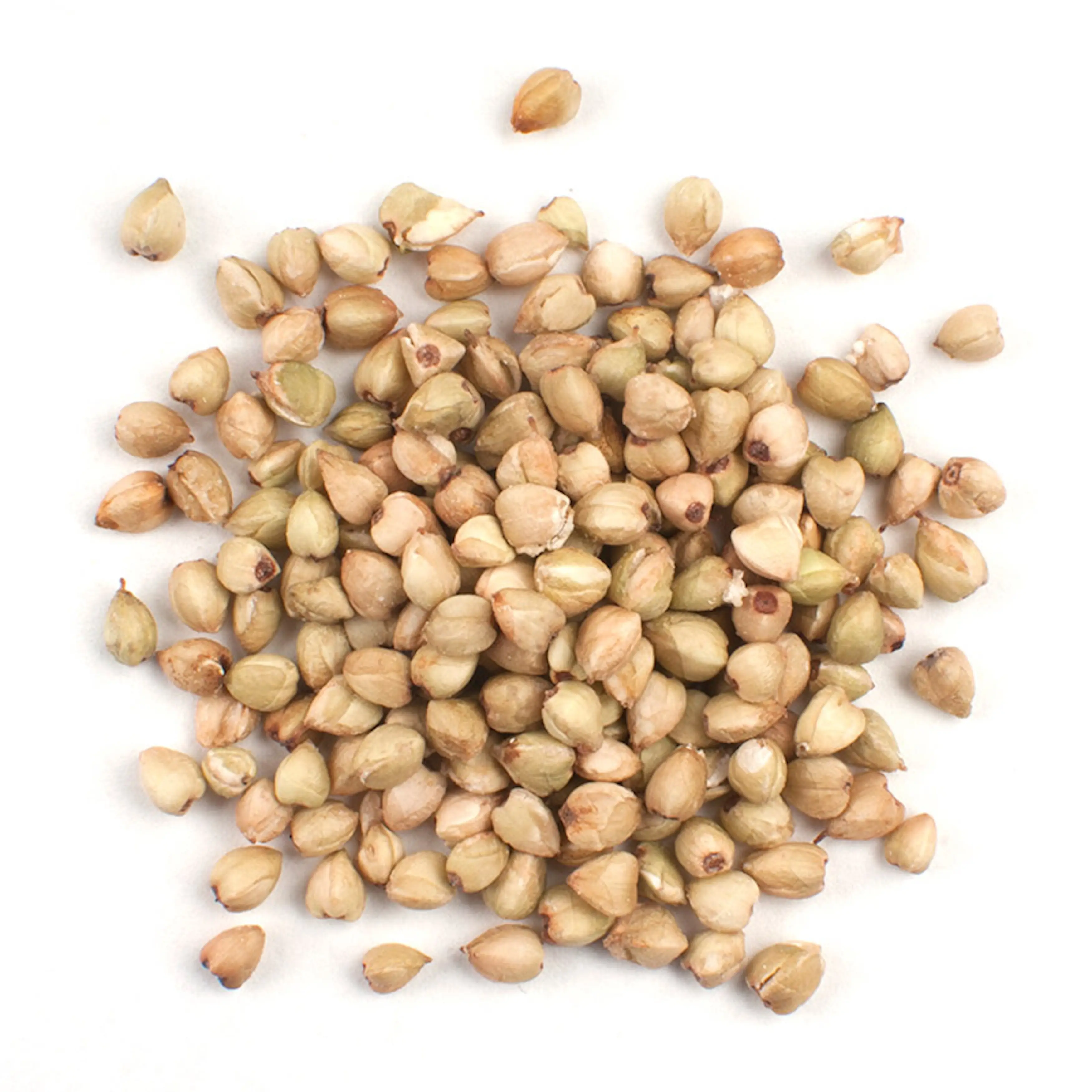 Wholesale buckwheat / Buckwheat grain / buckwheat seed