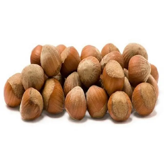 Best Quality Blanched Hazelnuts
