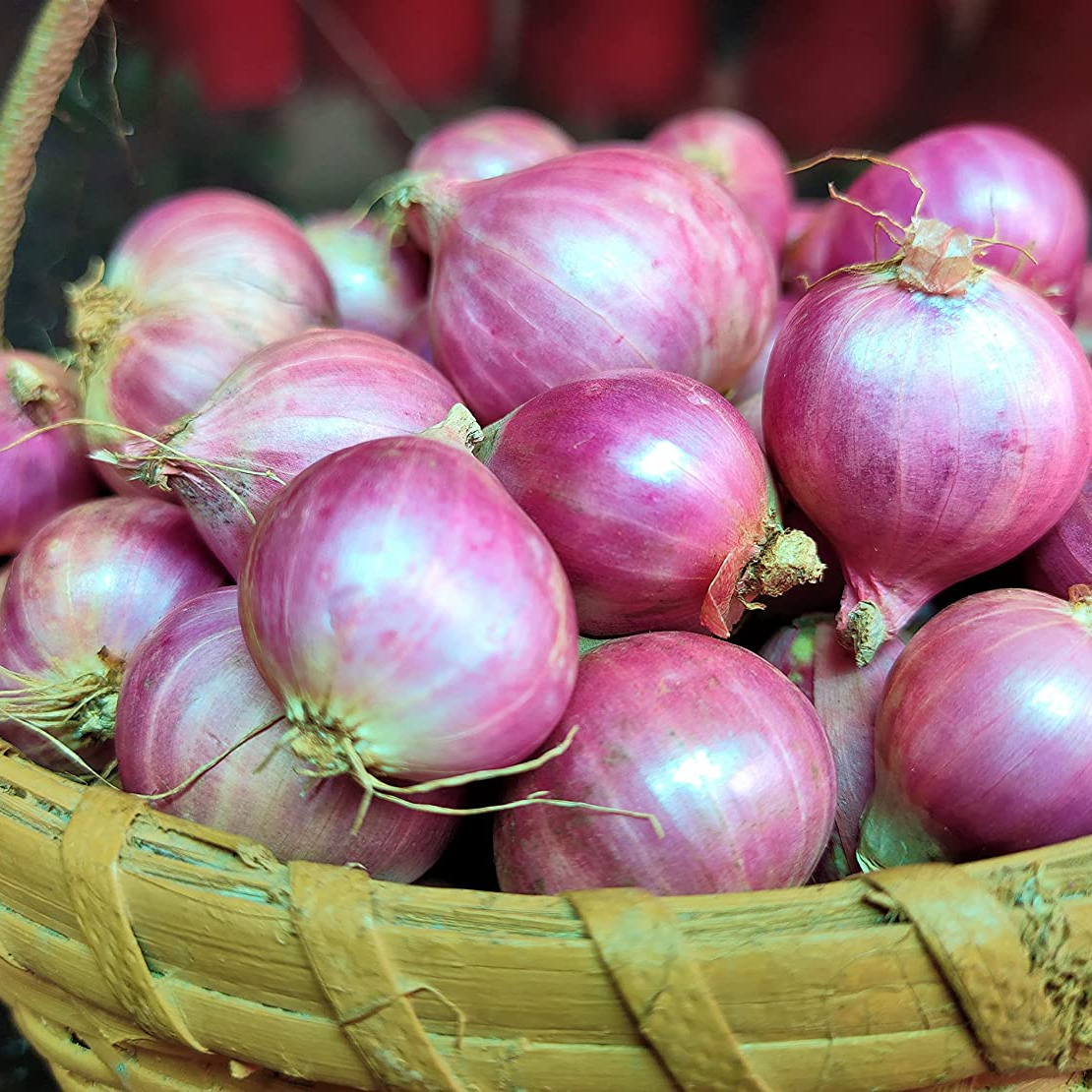 Red Bags Mesh Style Packaging Agriculture Weight Origin Type Shape Size Product ISO Fresh Onion Place Model Round Length Common