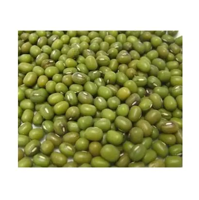High Quality Green Mung Beans / Whole Moong Beans Available For Sale At Low Price